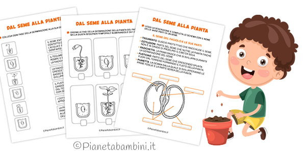 Schede didattiche "Dal seme alla pianta" per la classe prima della Scuola Primaria