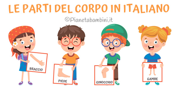 Schede didattiche sulle parti del corpo in italiano per stranieri e BES