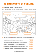Scheda didattica sul paesaggio di collina per la classe seconda