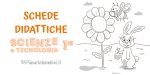 Schede didattiche di Scienze e Tecnologia per la classe prima della Scuola Primaria