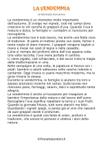 Racconto sull'autunno n. 22