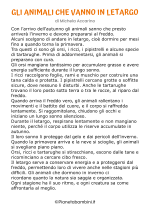 Racconto sull'autunno n. 28