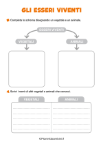 Scheda didattica sul ciclo vitale per la classe seconda nr. 1