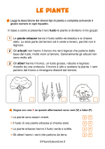 Scheda didattica sulle piante per la classe seconda nr. 1