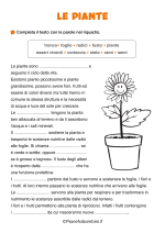Scheda didattica sulle piante per la classe seconda nr. 3