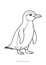 Pinguino da stampare e colorare 19