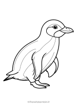 Pinguino da stampare e colorare 21