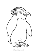 Pinguino da stampare e colorare 25