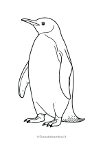 Pinguino da stampare e colorare 27