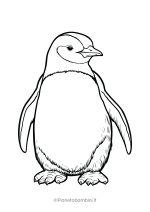 Pinguino da stampare e colorare 28
