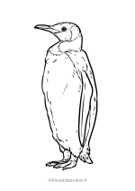 Pinguino da stampare e colorare 30