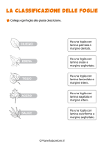Scheda sulla classificazione delle foglie per la classe seconda nr. 3