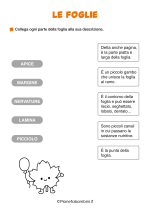 Scheda didattica sulle foglie per la classe seconda nr. 1