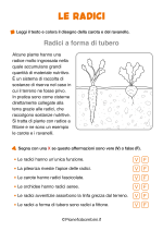 Scheda sulle radici delle piante per la classe seconda nr. 3