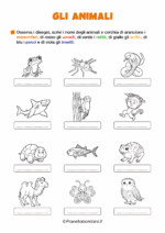 Scheda didattica sulla classificazione degli animali per la classe seconda nr. 3