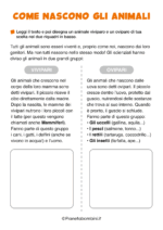 Scheda didattica su come nascono gli animali per la classe seconda nr. 4