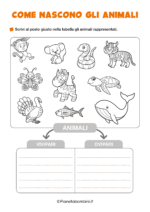 Scheda didattica su come nascono gli animali per la classe seconda nr. 5