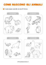 Scheda didattica su come nascono gli animali per la classe seconda nr. 6