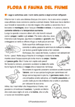 Scheda didattica sul fiume per la classe terza della Scuola Primaria nr. 3