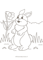 Disegni di conigli cartoon da colorare 16