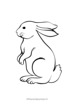 Disegno di coniglio da colorare 16
