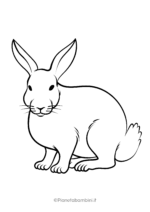Disegno di coniglio da colorare 17