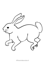 Disegno di coniglio da colorare 19