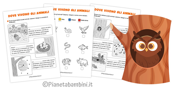 Schede didattiche su dove vivono gli animali per la classe seconda della Scuola Primaria