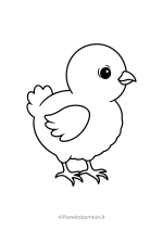 Disegno di pulcino da colorare 16