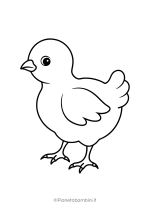 Disegno di pulcino da colorare 17
