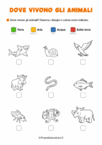 Scheda didattica su dove vivono gli animali per la classe seconda nr. 4