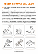 Scheda didattica sul lago per la classe terza della Scuola Primaria nr. 4