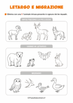 Scheda didattica su letargo e migrazione per la classe seconda nr. 2