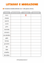 Scheda didattica su letargo e migrazione per la classe seconda nr. 3