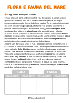 Scheda didattica sul mare per la classe terza nr. 4