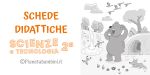 Schede didattiche di scienze per la classe seconda della Scuola Primaria