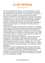 Storia sulle api per bambini nr. 2