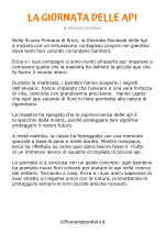 Storia sulle api per bambini nr. 6