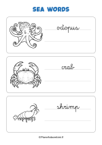 Parole del mare in inglese in corsivo da stampare nr. 2