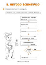 Scheda didattica sul metodo scientifico sperimentale per la classe terza nr. 2