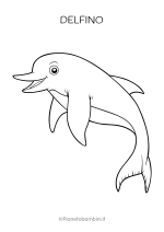 Delfino da stampare e colorare