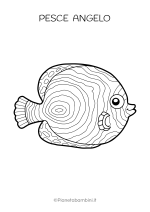 Pesce angelo da stampare e colorare