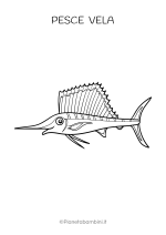 Pesce vela da stampare e colorare