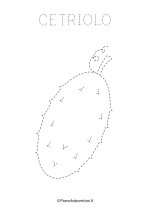 Scheda di pregrafismo sul cetriolo da stampare