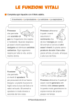 Scheda didattica sulle funzioni vitali degli esseri viventi per la classe terza nr. 1
