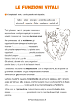 Scheda didattica sulle funzioni vitali degli esseri viventi per la classe terza nr. 2