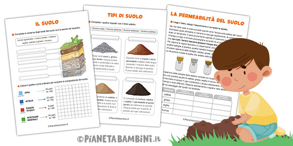 Schede didattiche sul suolo per la classe terza e quarta della Scuola Primaria