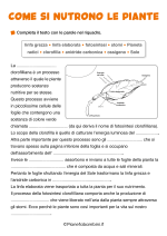 Scheda didattica su come si nutrono le piante per la classe terza nr. 2
