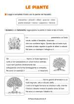 Scheda didattica sulle piante per la classe terza della Scuola Primaria nr. 2